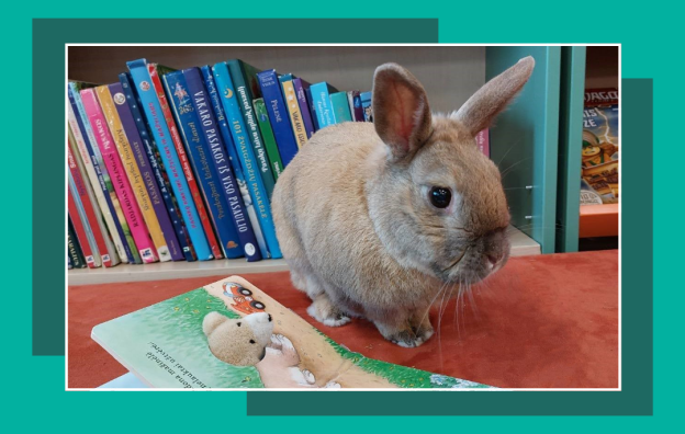 Virtualios parodos viršelis (40)-7f1f791f4db70120c9c5dd0f950ce687.png